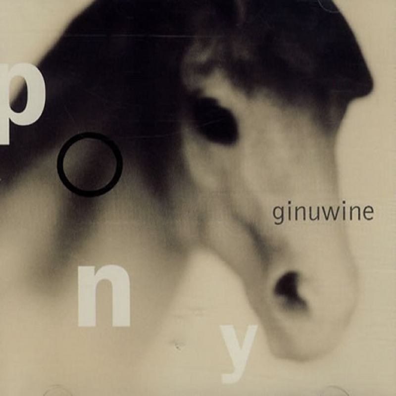 Ginuwine - Pony